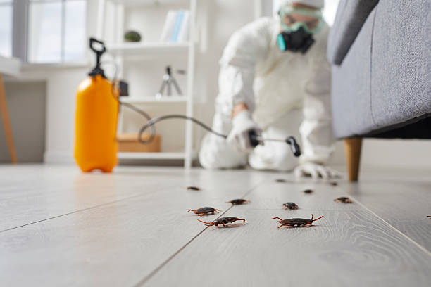 Commercial Kitchen Cockroach Control in Blackhawk